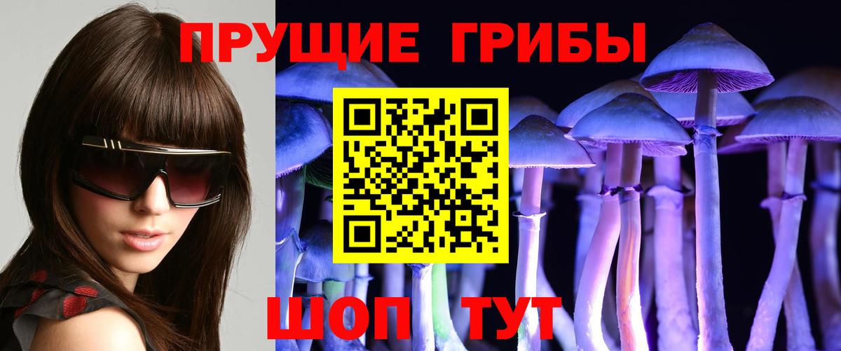 Галлюциногенные грибы Magic Shrooms  Вход с VPN  Ангарск  Галлюциногенные грибы Psilocybine cubensis 